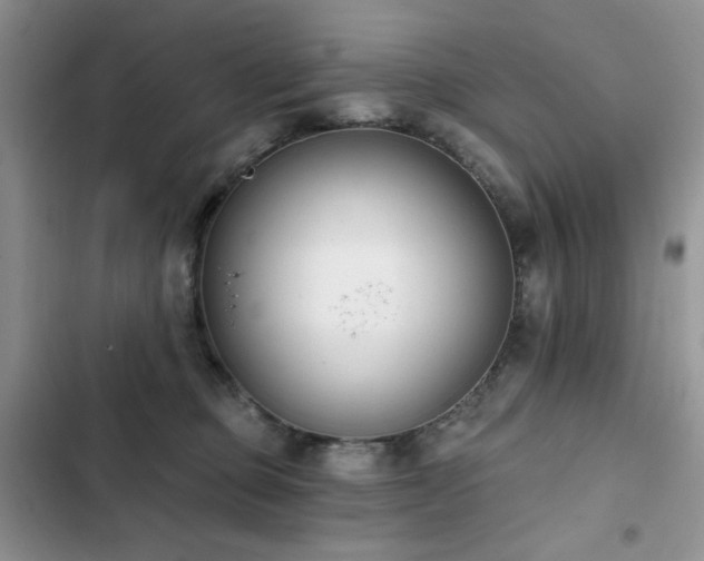 X0000103230373200808281436