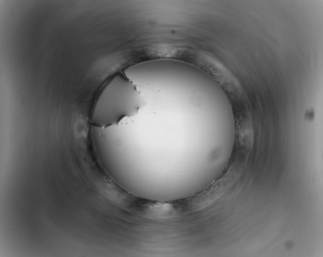 X0000103230374200808281436