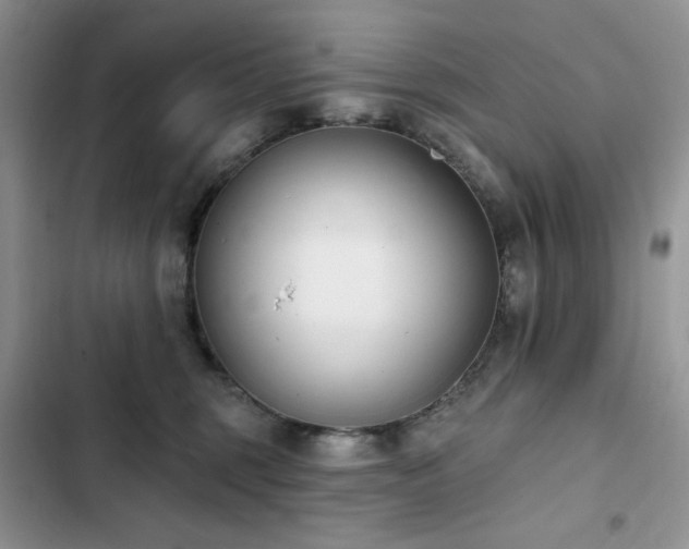 X0000103230375200808281436