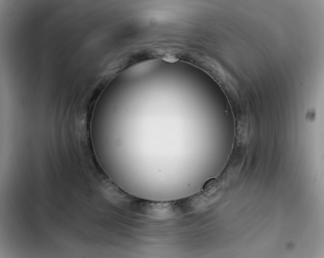 X0000103230377200808281436