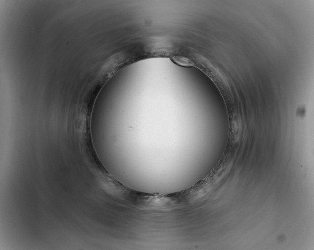 X0000103230379200808281436