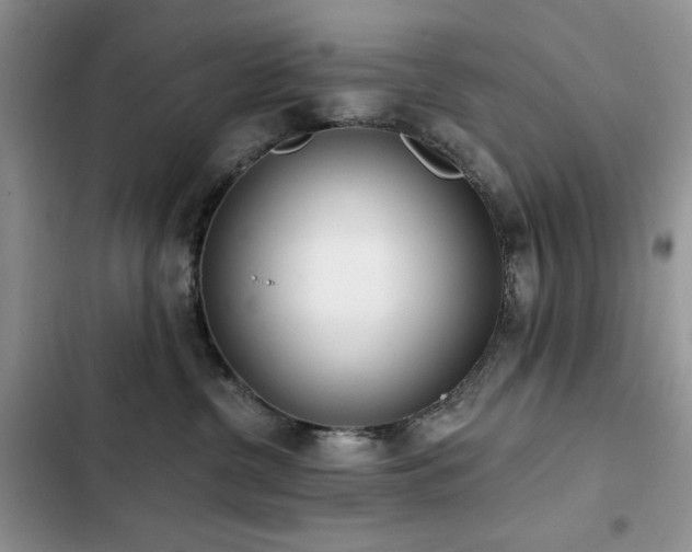X0000103230380200808281436