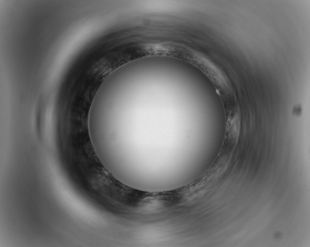 X0000103230381200808281436