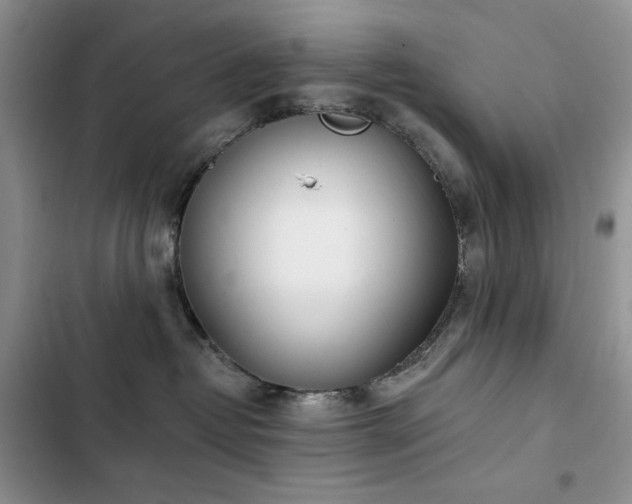 X0000103230382200808281436