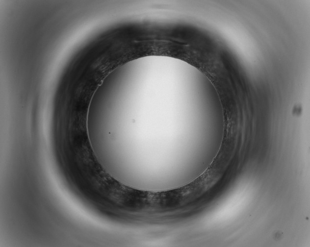 X0000103230383200808281436