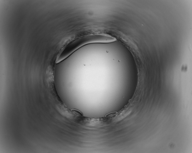 X0000103230384200808281436