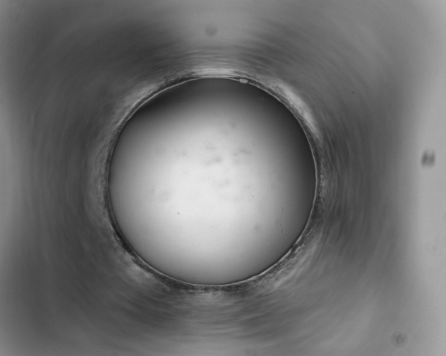 X0000103230385200808281435