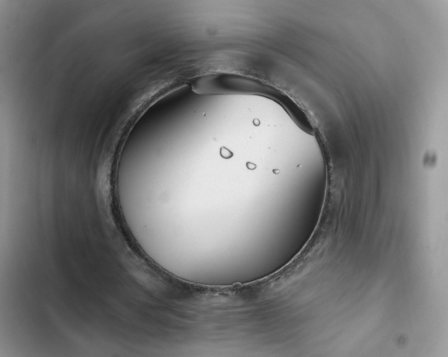 X0000103230386200808281435