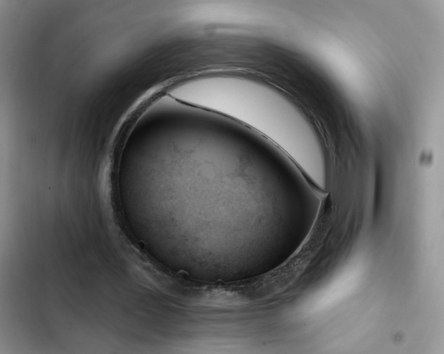 X0000103230387200808281435