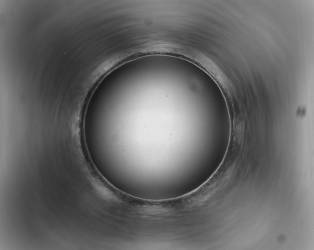 X0000103230389200808281435