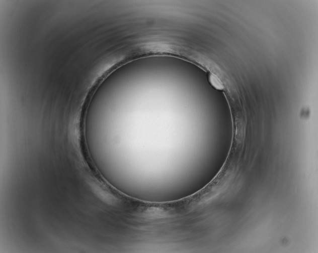 X0000103230390200808281435