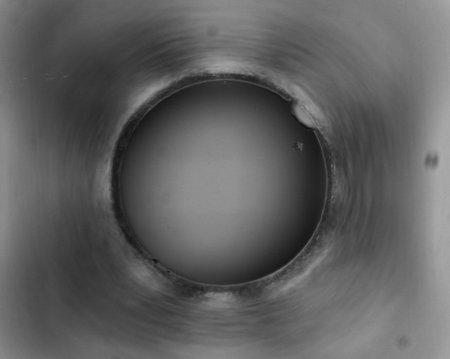 X0000103230391200808281435