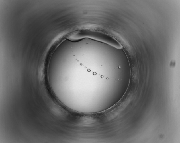 X0000103230392200808281435