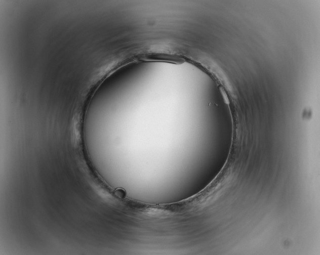X0000103230393200808281435