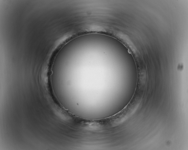 X0000103230395200808281435