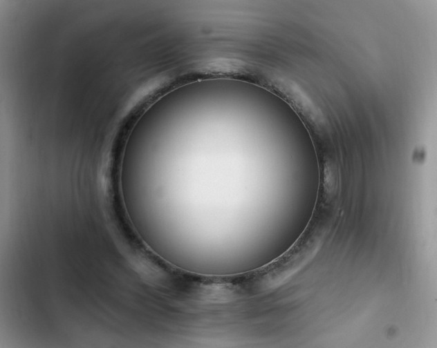 X0000103230396200808281435