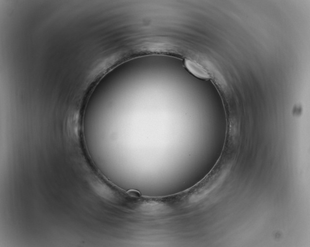 X0000103230397200808281435