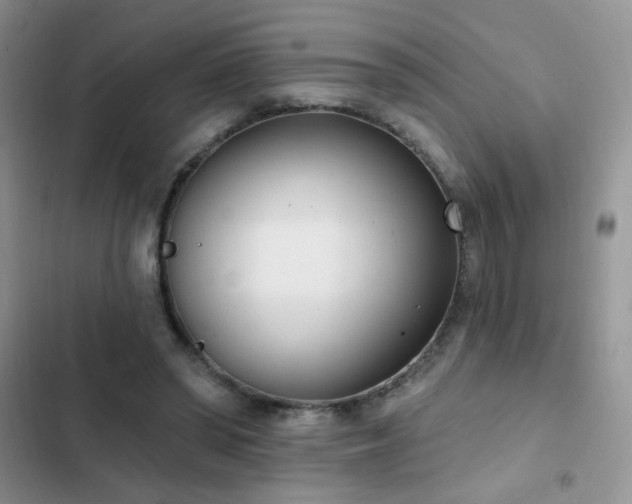 X0000103230398200808281435