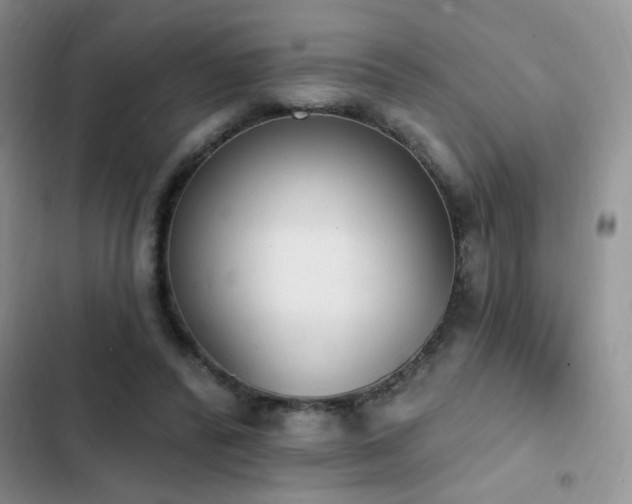 X0000103230400200808281435