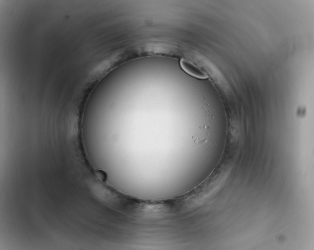 X0000103230401200808281435