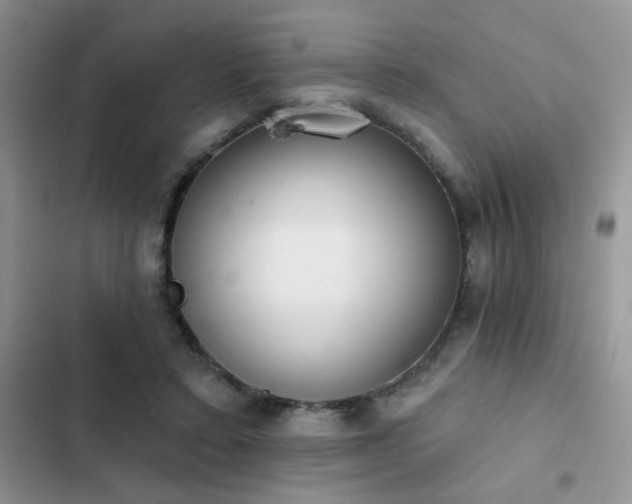 X0000103230403200808281435