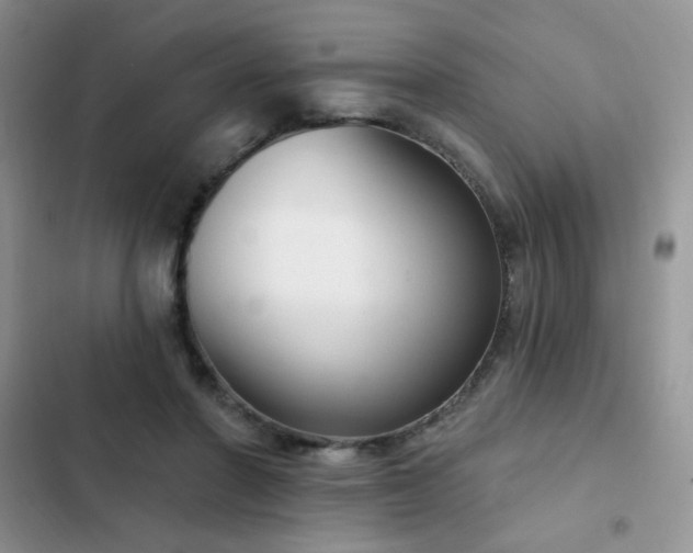 X0000103230406200808281435