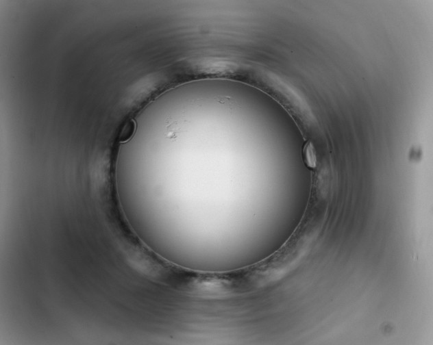 X0000103230407200808281435