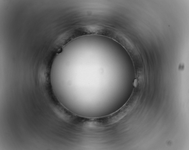 X0000103230408200808281435