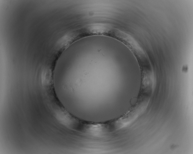 X0000103230411200808281435