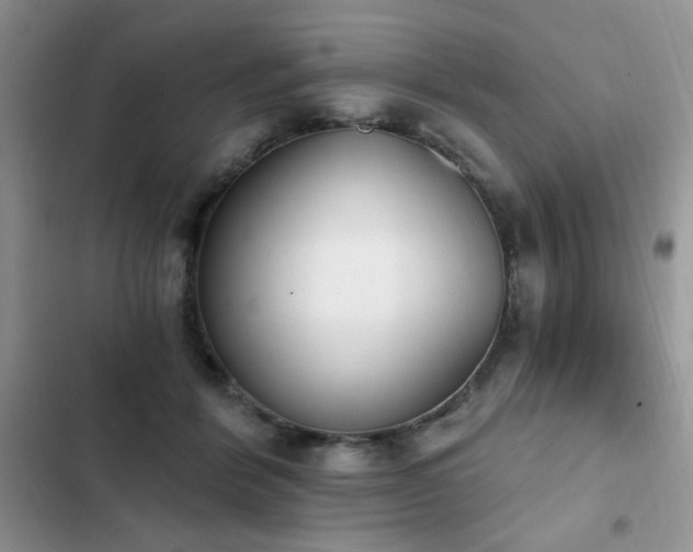 X0000103230412200808281435