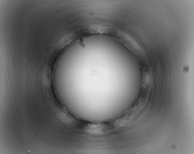 X0000103230414200808281435
