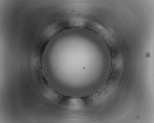 X0000103230415200808281435