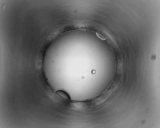 X0000103230417200808281435