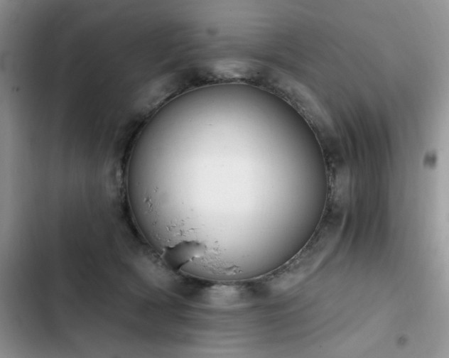 X0000103230418200808281435