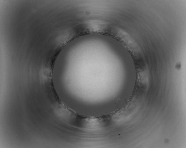 X0000103230419200808281435