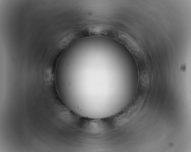 X0000103230420200808281435