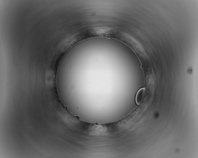 X0000103230421200808281435