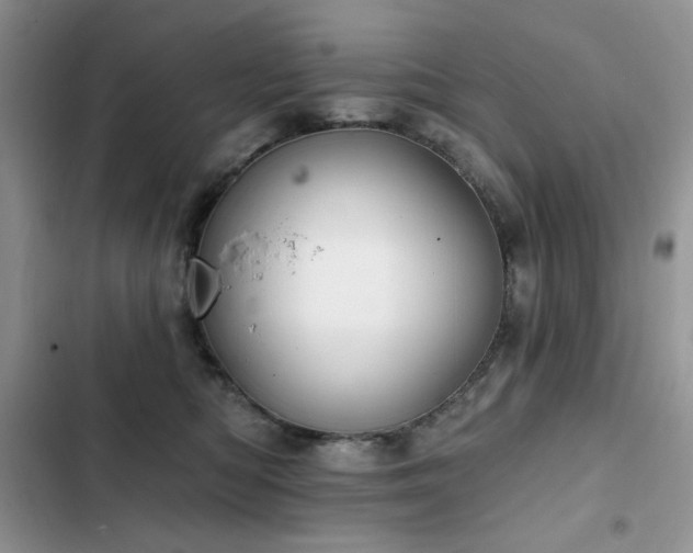 X0000103230422200808281435