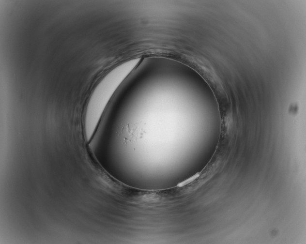 X0000103230423200808281435