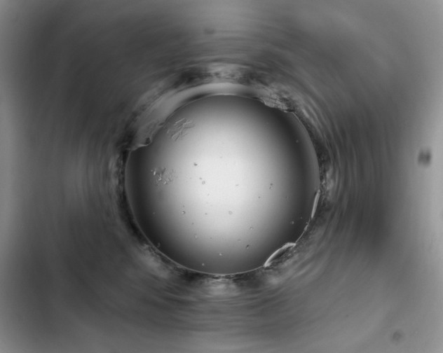 X0000103230424200808281435