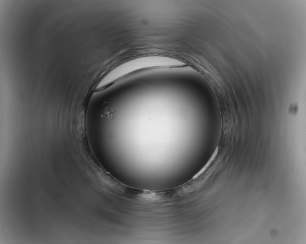 X0000103230425200808281435