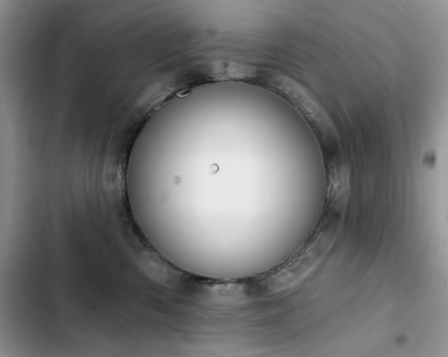 X0000103230426200808281435