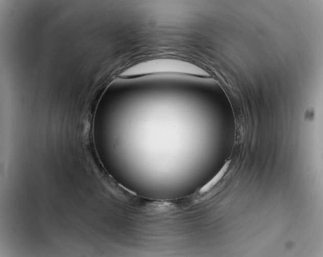 X0000103230427200808281435