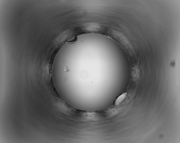 X0000103230428200808281435