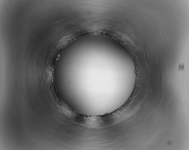 X0000103230432200808281435