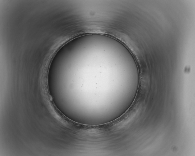 X0000103230433200808281434