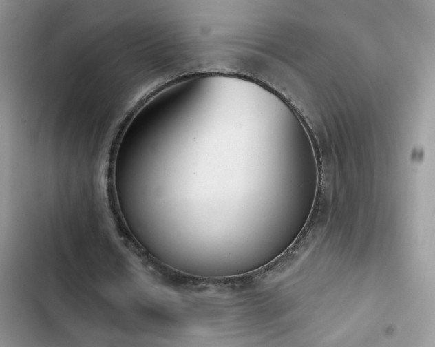 X0000103230434200808281434
