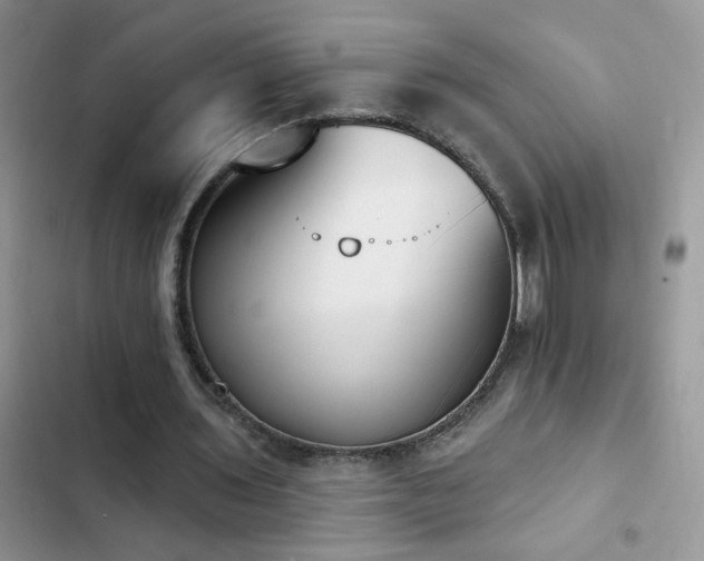 X0000103230435200808281434