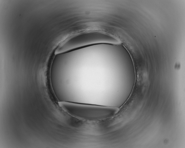 X0000103230436200808281434