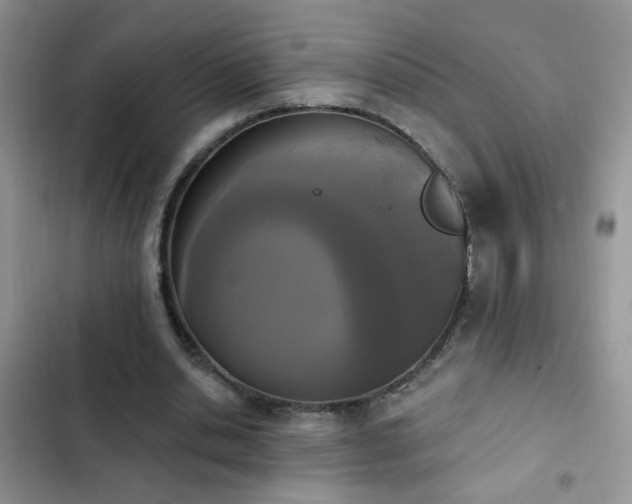 X0000103230438200808281434